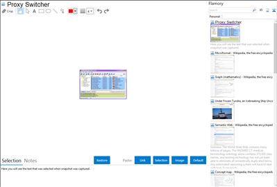 Proxy Switcher - Flamory bookmarks and screenshots