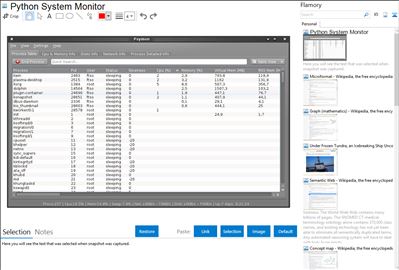 Python System Monitor - Flamory bookmarks and screenshots