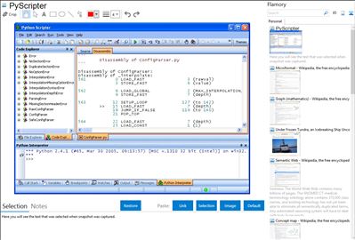 PyScripter - Flamory bookmarks and screenshots