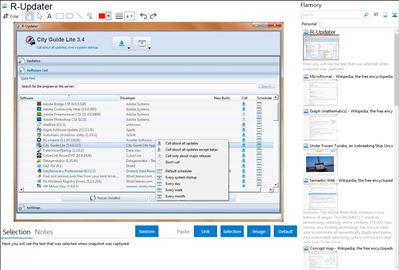 R-Updater - Flamory bookmarks and screenshots