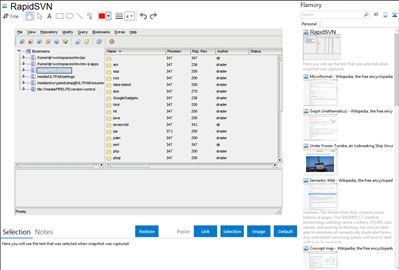 RapidSVN - Flamory bookmarks and screenshots