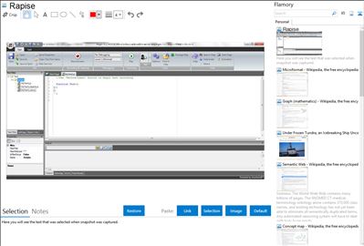 Rapise - Flamory bookmarks and screenshots