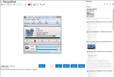 RecordPad - Flamory bookmarks and screenshots