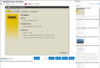 remote linux monitor - Flamory bookmarks and screenshots