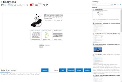 SadPanda - Flamory bookmarks and screenshots