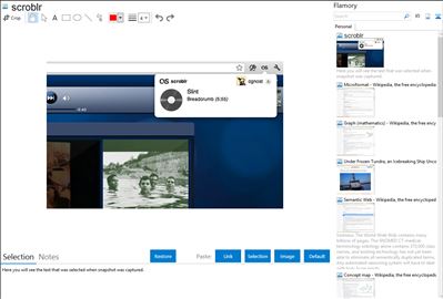 scroblr - Flamory bookmarks and screenshots