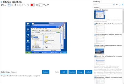 Shock Caption - Flamory bookmarks and screenshots