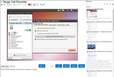 Skype Call Recorder - Flamory bookmarks and screenshots