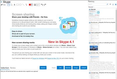Skype - Flamory bookmarks and screenshots