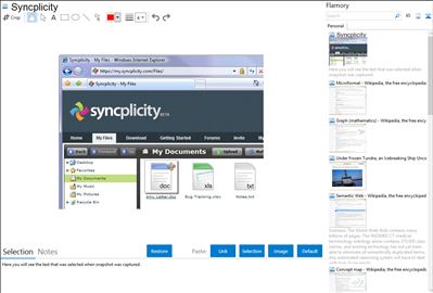Syncplicity - Flamory bookmarks and screenshots