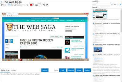 The Web Saga - Flamory bookmarks and screenshots