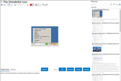 The Wonderful Icon - Flamory bookmarks and screenshots