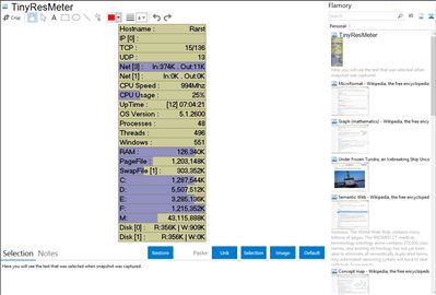 TinyResMeter - Flamory bookmarks and screenshots