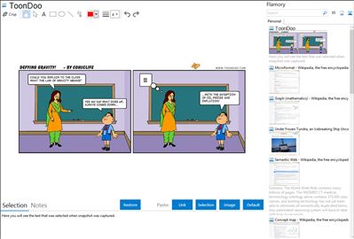 ToonDoo - Flamory bookmarks and screenshots