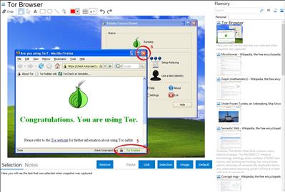 Tor Browser - Flamory bookmarks and screenshots