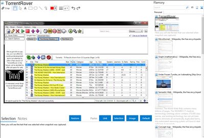 TorrentRover - Flamory bookmarks and screenshots