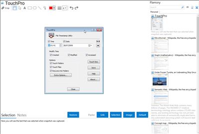 TouchPro - Flamory bookmarks and screenshots
