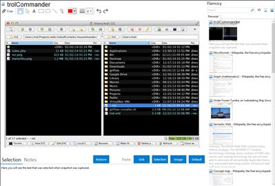 trolCommander - Flamory bookmarks and screenshots