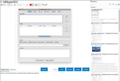 tsMuxerGUI - Flamory bookmarks and screenshots