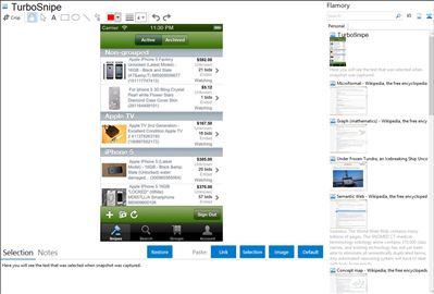 TurboSnipe - Flamory bookmarks and screenshots