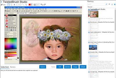 TwistedBrush Studio - Flamory bookmarks and screenshots
