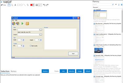 VidGIF - Flamory bookmarks and screenshots