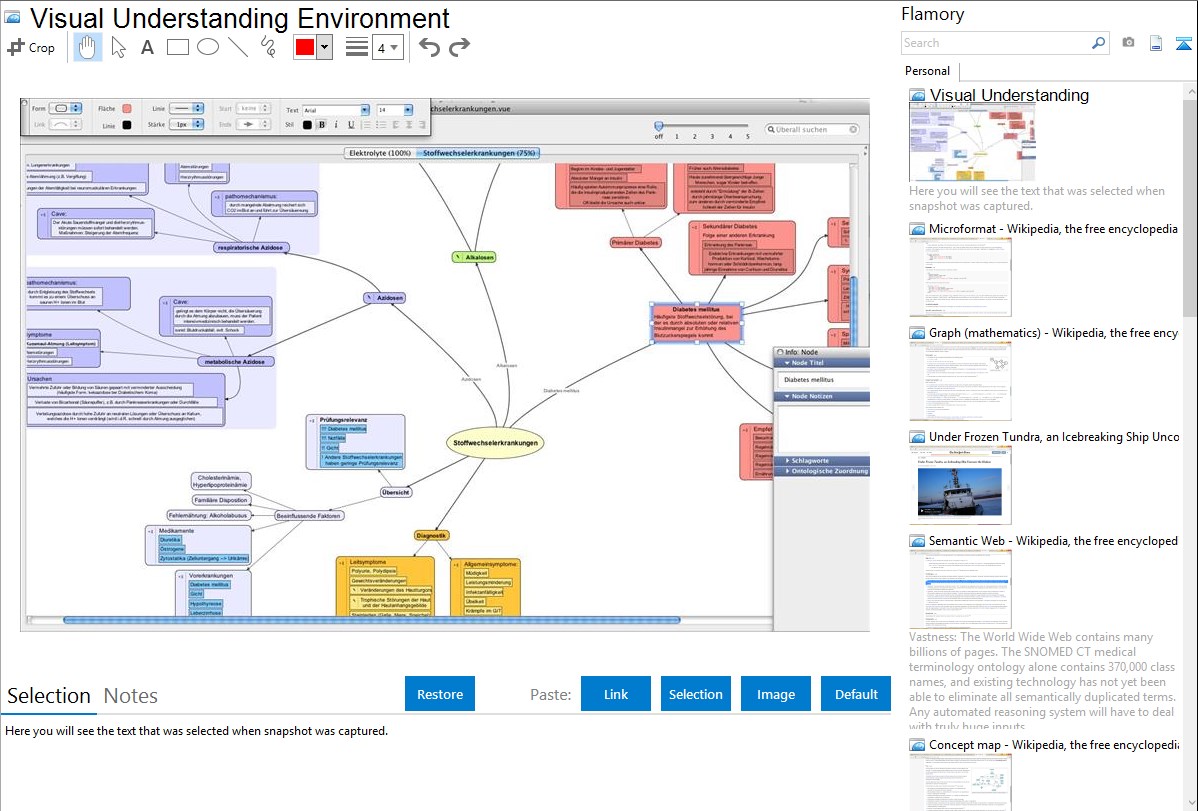 using visual understanding environment