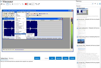 Wavosaur - Flamory bookmarks and screenshots