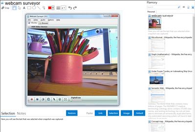 webcam surveyor - Flamory bookmarks and screenshots