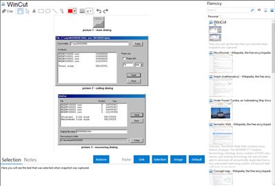 WinCut - Flamory bookmarks and screenshots