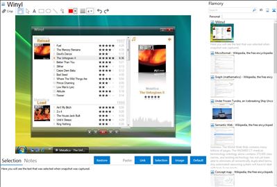 Winyl - Flamory bookmarks and screenshots