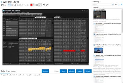 wxHexEditor - Flamory bookmarks and screenshots