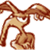Aardvark (Bookmarklet) logo