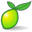 LimeSurvey logo