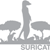 Suricata logo