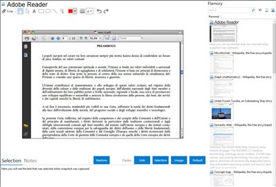 Adobe Reader - Flamory bookmarks and screenshots