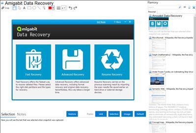Amigabit Data Recovery - Flamory bookmarks and screenshots