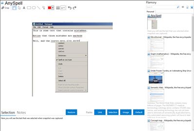 AnySpell - Flamory bookmarks and screenshots