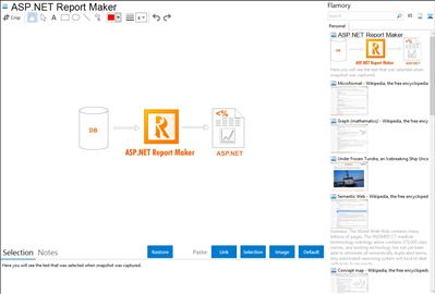 ASP.NET Report Maker - Flamory bookmarks and screenshots