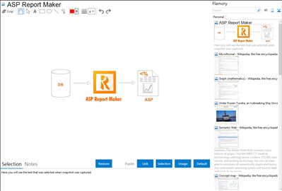 ASP Report Maker - Flamory bookmarks and screenshots