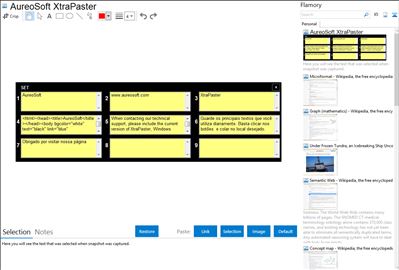 AureoSoft XtraPaster - Flamory bookmarks and screenshots