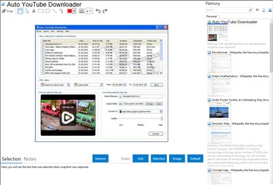 Auto YouTube Downloader - Flamory bookmarks and screenshots
