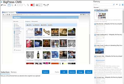 BigPress CMS - Flamory bookmarks and screenshots