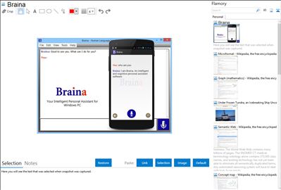 Braina - Flamory bookmarks and screenshots