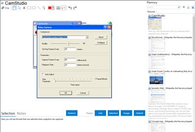 CamStudio - Flamory bookmarks and screenshots