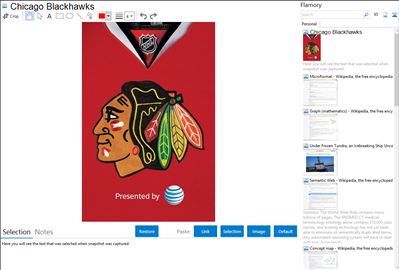 Chicago Blackhawks - Flamory bookmarks and screenshots