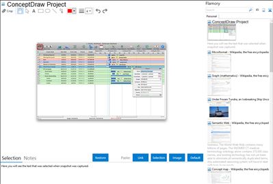 ConceptDraw Project - Flamory bookmarks and screenshots