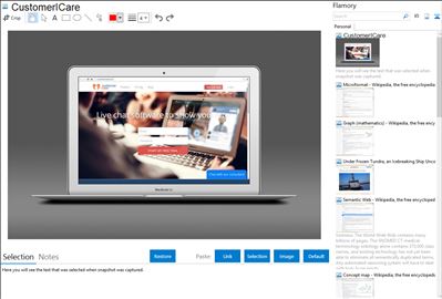 CustomerICare - Flamory bookmarks and screenshots
