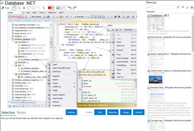 Database .NET - Flamory bookmarks and screenshots
