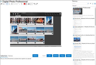 Digital Photo Professional - Flamory bookmarks and screenshots